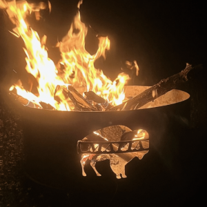 Buffalo fire Pit